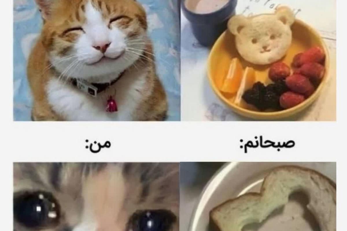میمp2