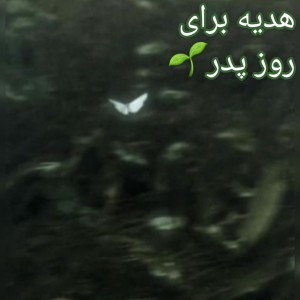 تست هدیه روز پدر