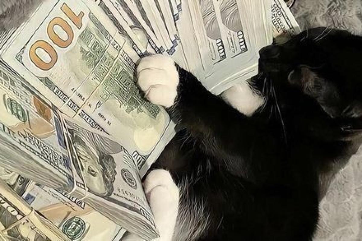 عکس *میم و توئیت از تایپ ها*