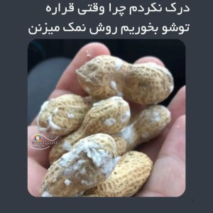 عکس میم p45