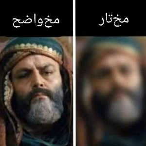 عکس میم (یافت شده در اعماق گالری)