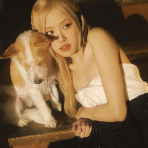 𝙺𝚒𝚖 𝙺𝚊𝚛𝚍𝚊𝚜𝚑𝚒𝚊𝚗