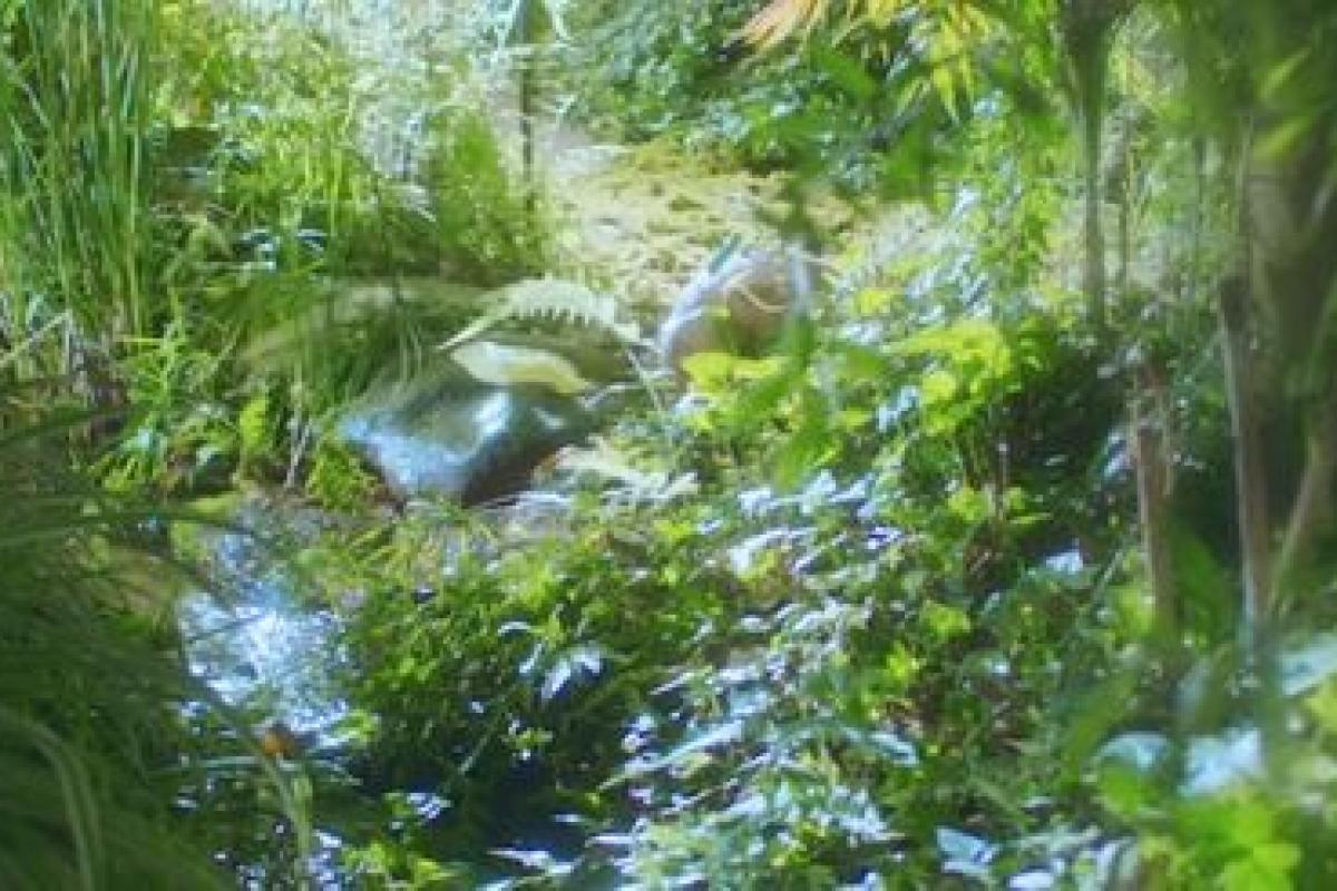 عکس `☆حرف هایی که شاید بهش نگفتی☆`