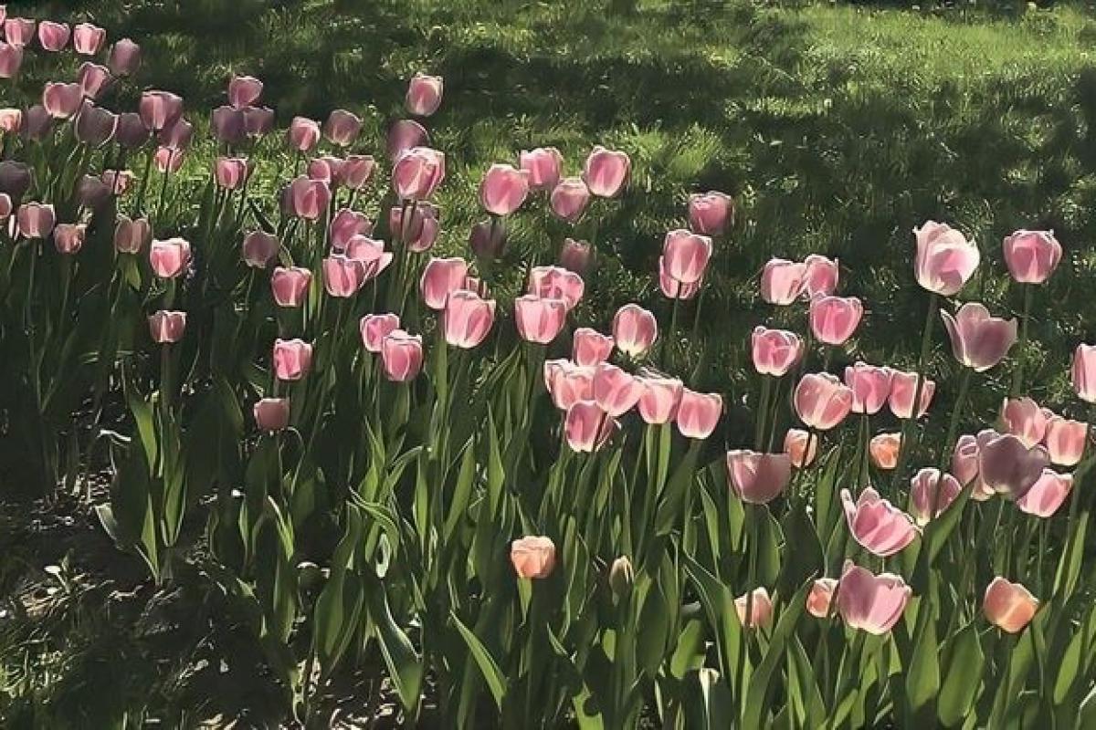 عکس مورد اعتماد ترین تایپ ها / برای مشاوره