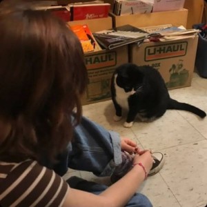 درونگرا‌هستی‌یا‌برونگرا