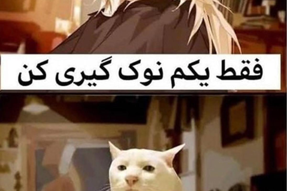 میم های خنده دار پارت ۳
