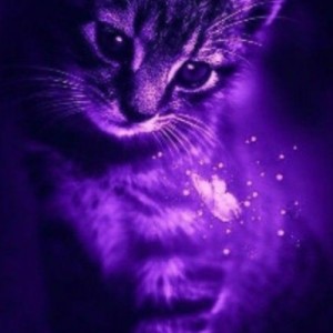 کتاب هایی با خلاصه جذاب