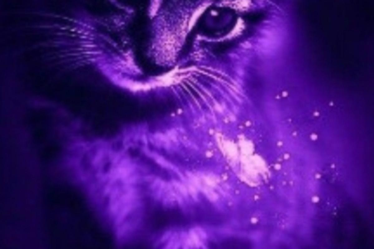 عکس کتاب هایی با خلاصه جذاب