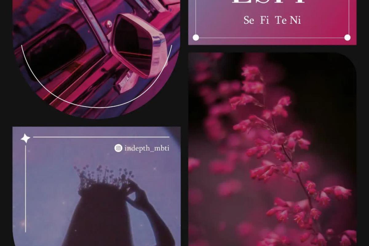 عکس تم MBTI