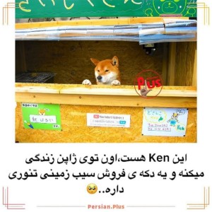 عکس ✨ken