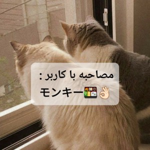 تست محاصبه با کاربر:モンキー🍱👌🏻