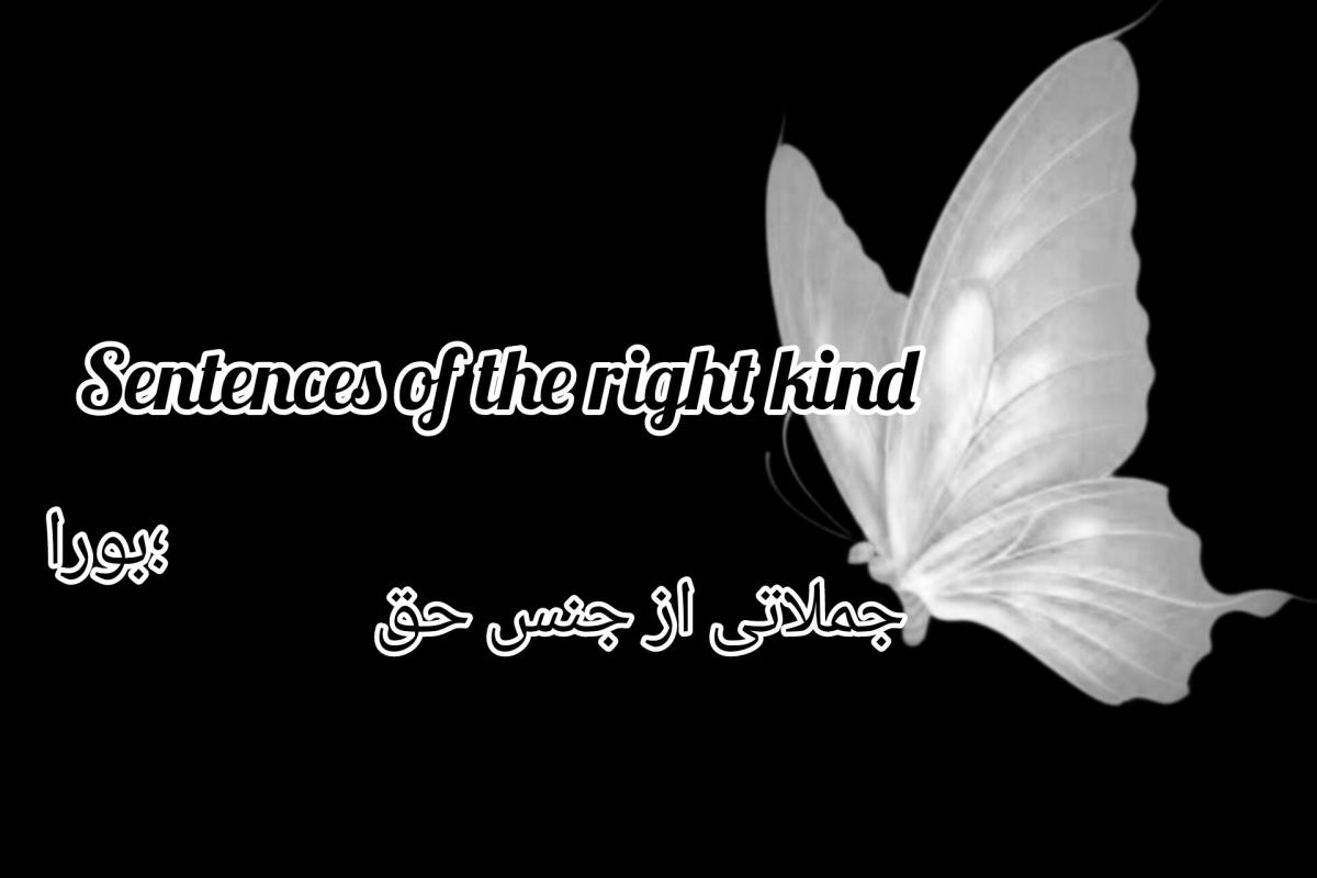 عکس جملاتی‌از‌جنس‌حق؛²