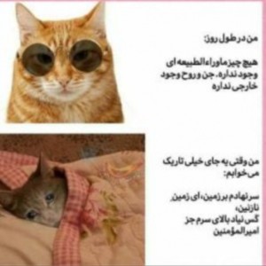 کاور