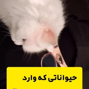 تست حیواناتی که وارد بهشت میشوند.