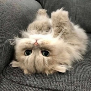 عکس پروفایل ماینکرافتی (پسرانه)