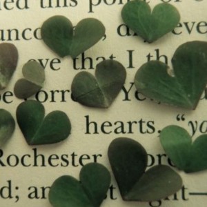 اینارو توی کیف مدرست بزار..!