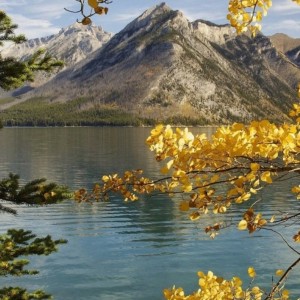 ✪ سعی کنید مثبت نگر باشید