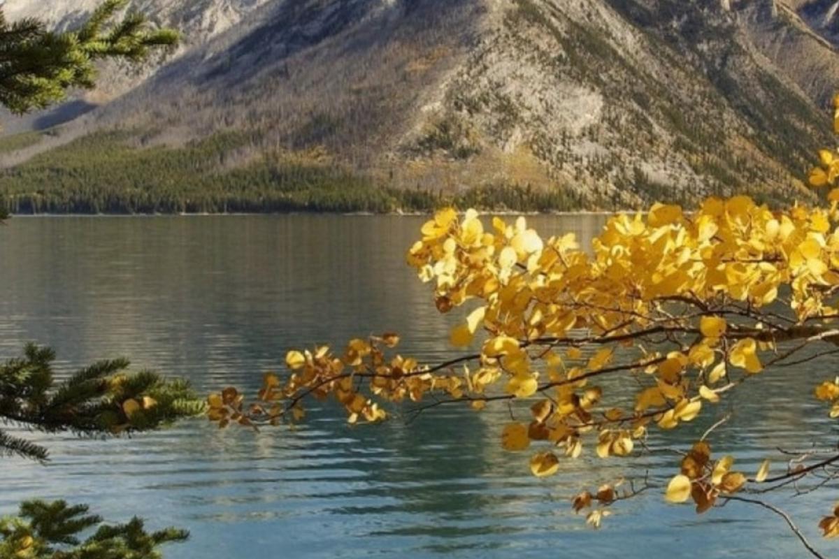 عکس ✪ سعی کنید مثبت نگر باشید