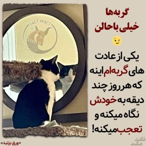 عکس این داستان: گورباه!😻