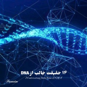 عکس ۱۴ حقیقت جالب از DNA