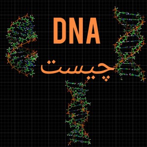 عکس "چیز هایی که باید در مورد DNA بدانید"