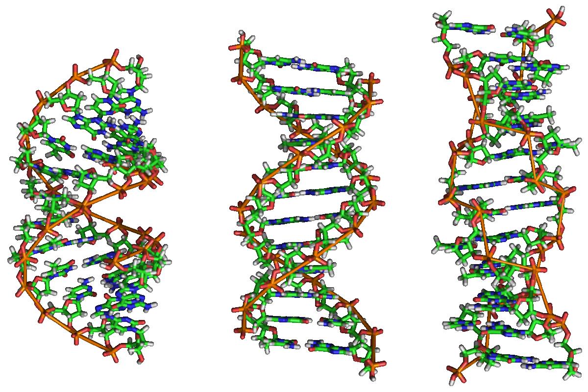 عکس "چیز هایی که باید در مورد DNA بدانید"