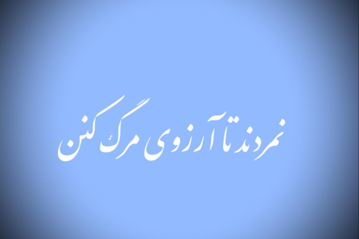 عکس نمردند تا آرزوی مرگ کنند p³³
