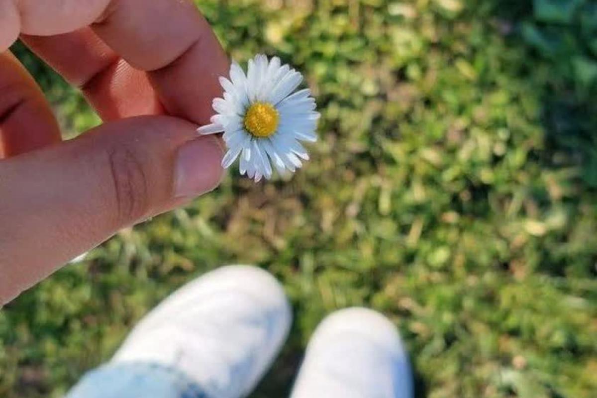 عکس هایی که وایب خوبی دارن