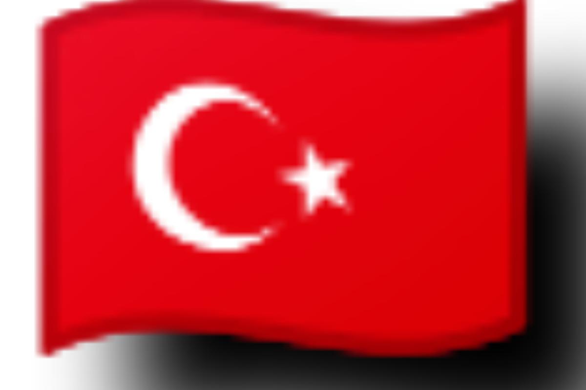 عکس چقدر ترکی(ترکی استانبولی نه آذربایجانی)بلدی؟