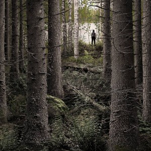 عکس اگر در جنگل گم شدیم چه کنیم؟