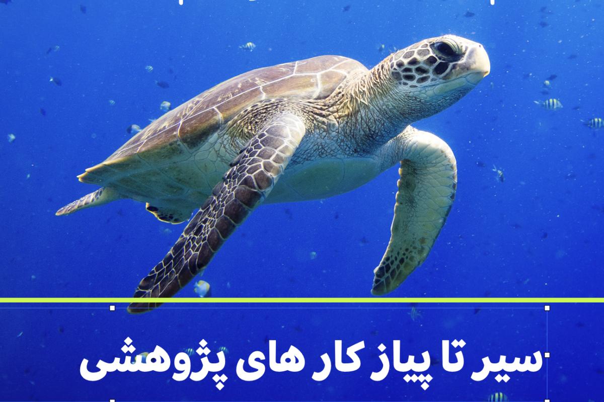 سیر تا پیاز رتبه اوردن در مسابقات پژوهشی