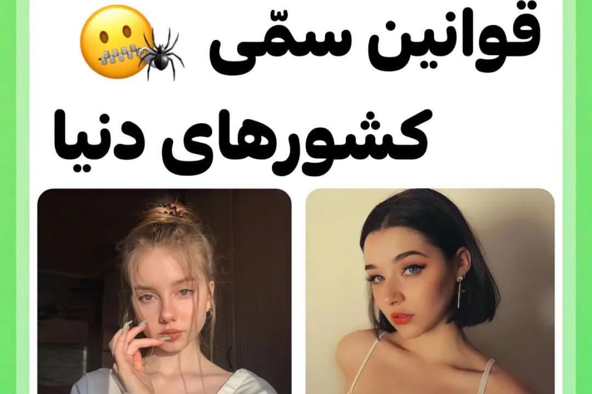 عکس قانون های سمی هر کشور