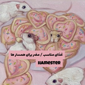 ‌غذای مناسب و مضر برای همستر ها