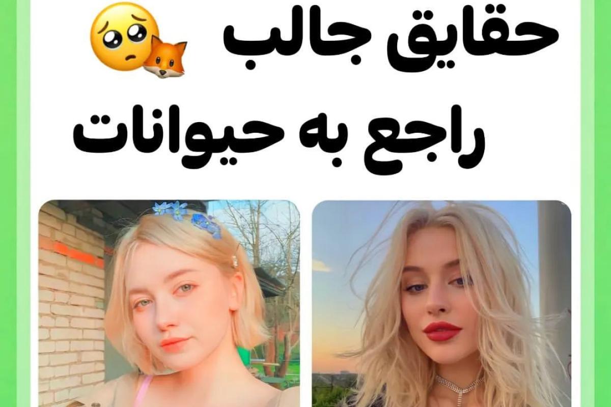 عکس حقایق جالب راجب حیوانات