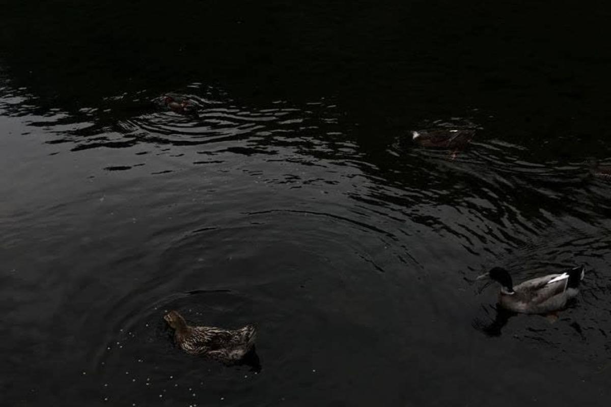 عکس جملات مثبت افراد مشهور! 🌙 🌹