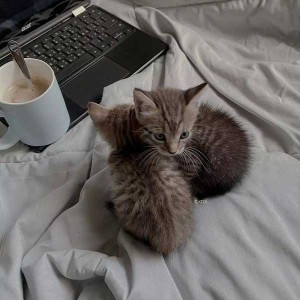 دوست داری خودتو به چالش بکشی؟؟