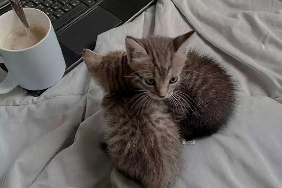 عکس دوست داری خودتو به چالش بکشی؟؟