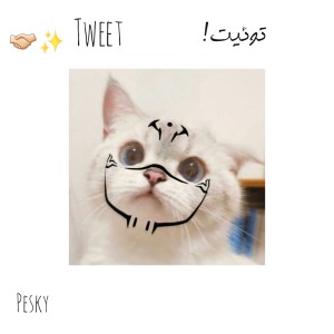 کاور