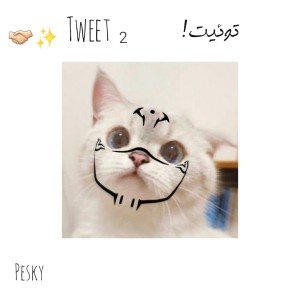 کاور