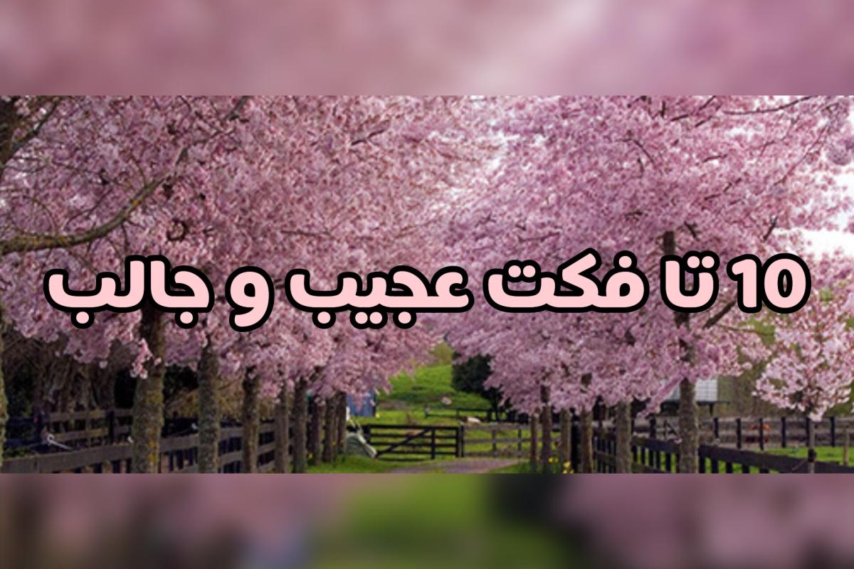 عکس فکت های جالب و عجیب