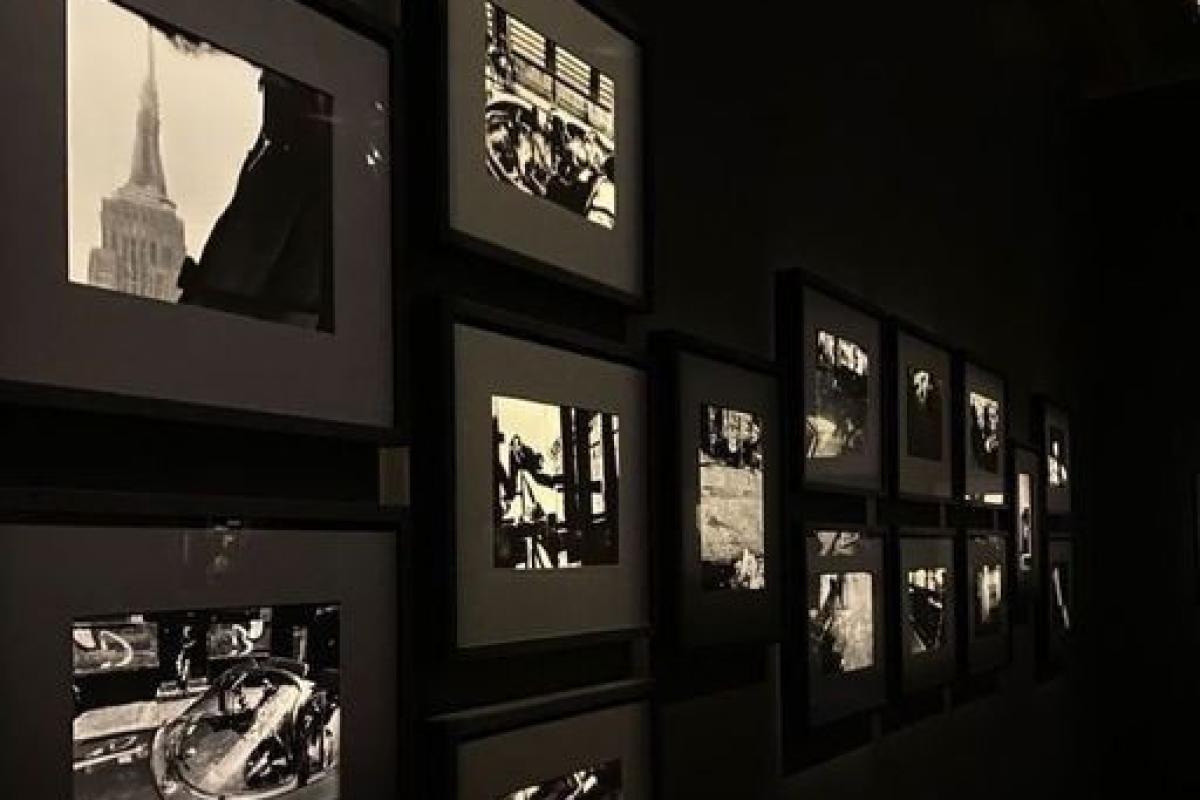 عکس Mbti و تنهایی؛