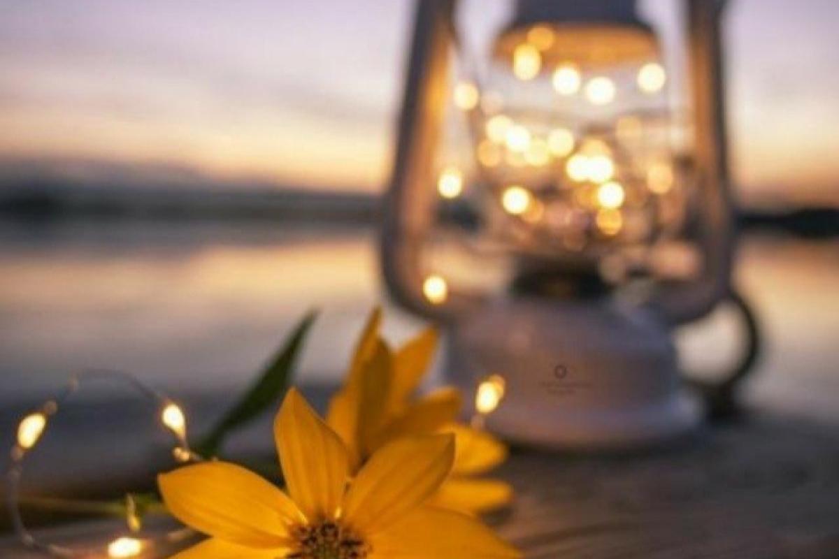 عکس تئوری هایی که واست حرفی نمیزاره..