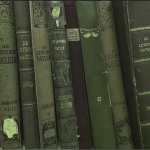 هر تایپ چه رنگیه؟ پارت ۱