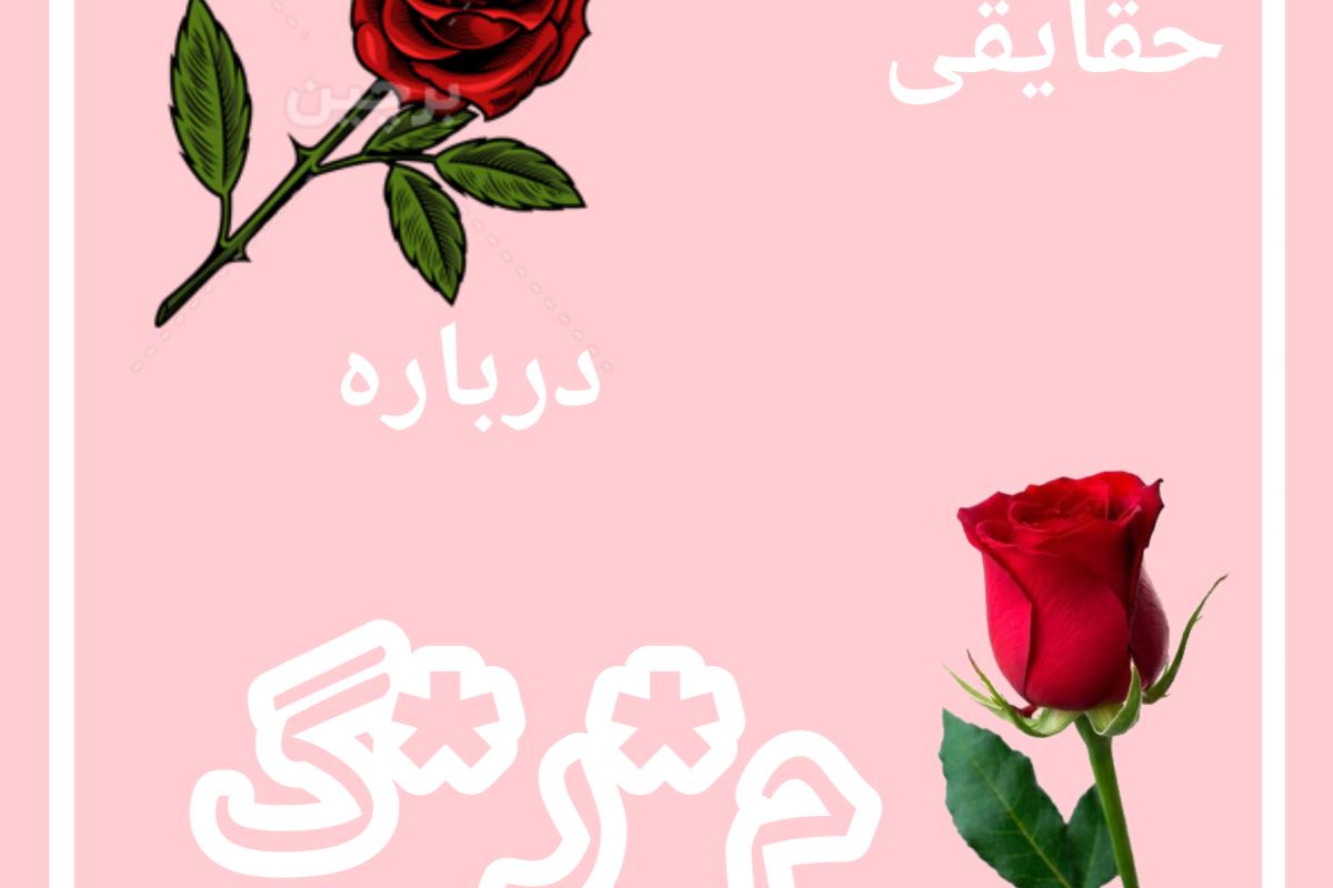 عکس حقایقی درباره م*ر*گ