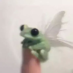 رایج ترین اختلالات و مشکلات روانی