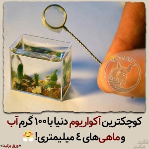 عکس این داستان: چیزای خیلی قشنگ:))🤍