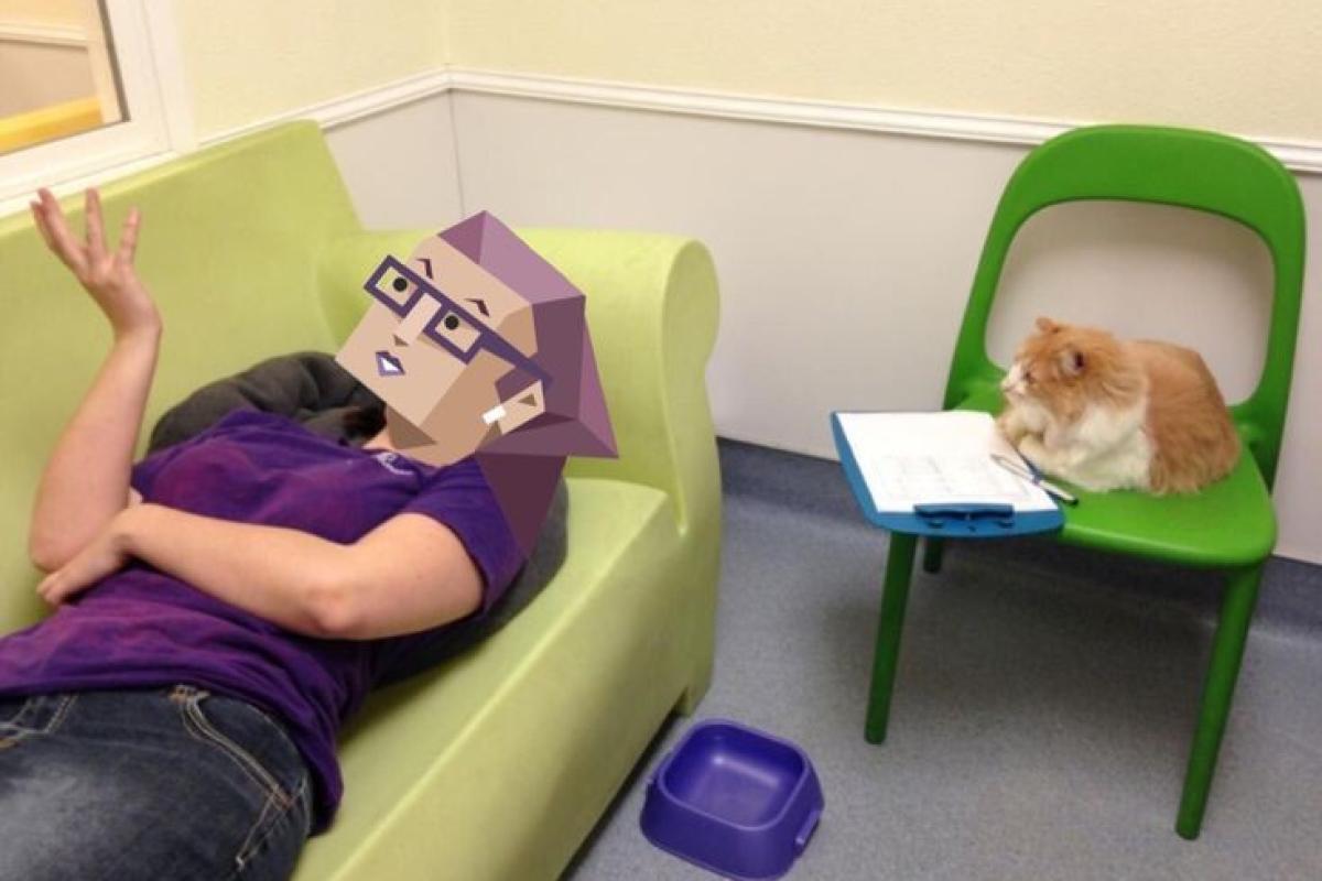 عکس اندکی‌از‌ام‌بی‌تی‌آی ²³