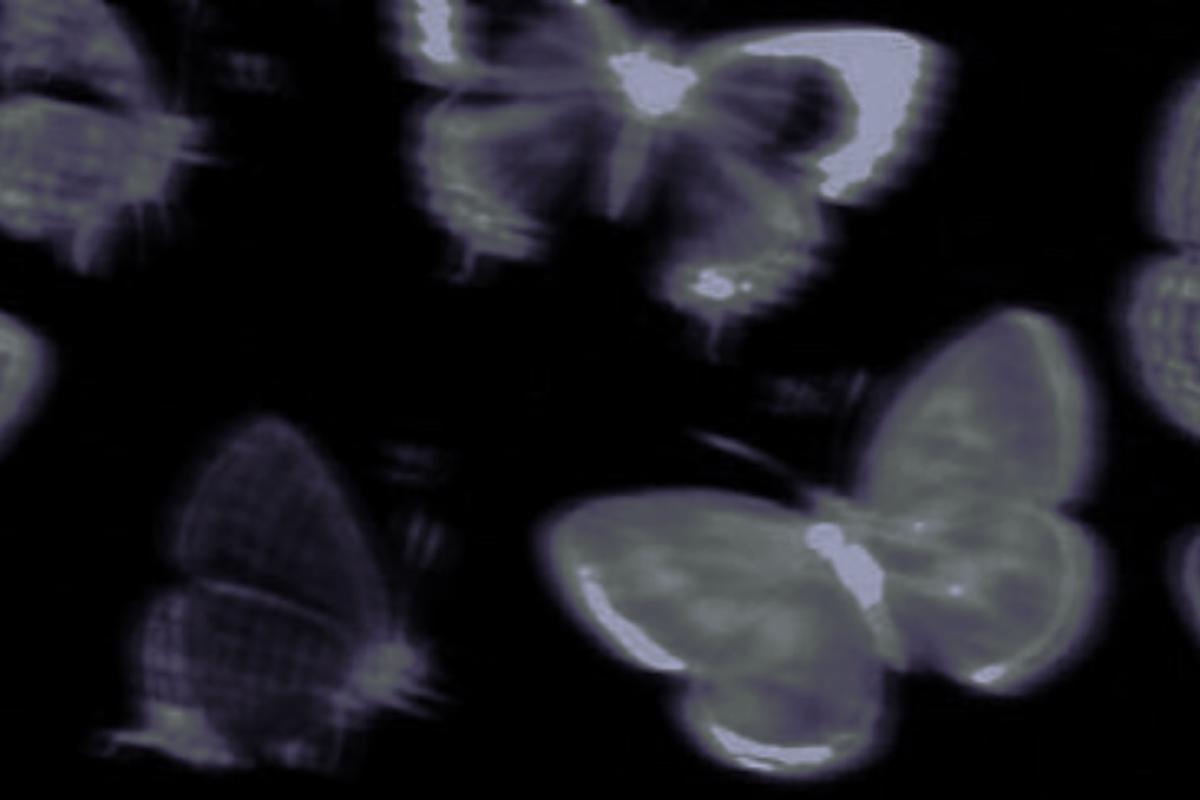 عکس فکت جدید از میراکلس؛