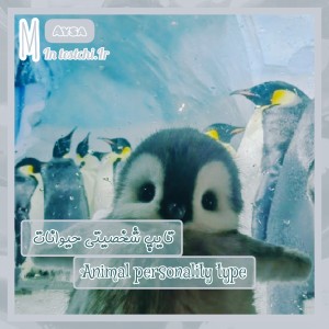 تایپ شخصیتی...