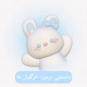 عکس دانستنی خرگوشی!